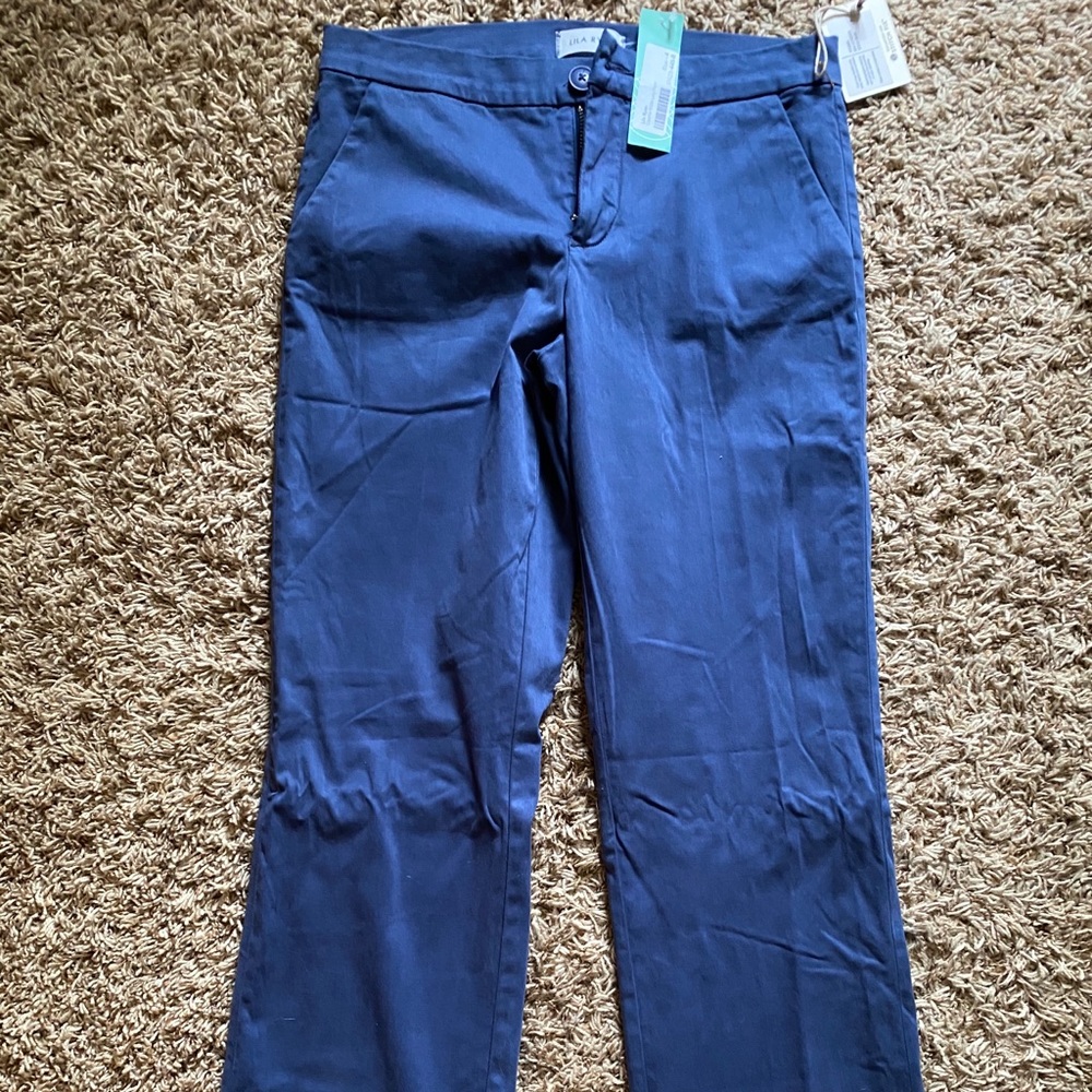 Lila Ryan Giselle Wide Leg Pant (steel blue)